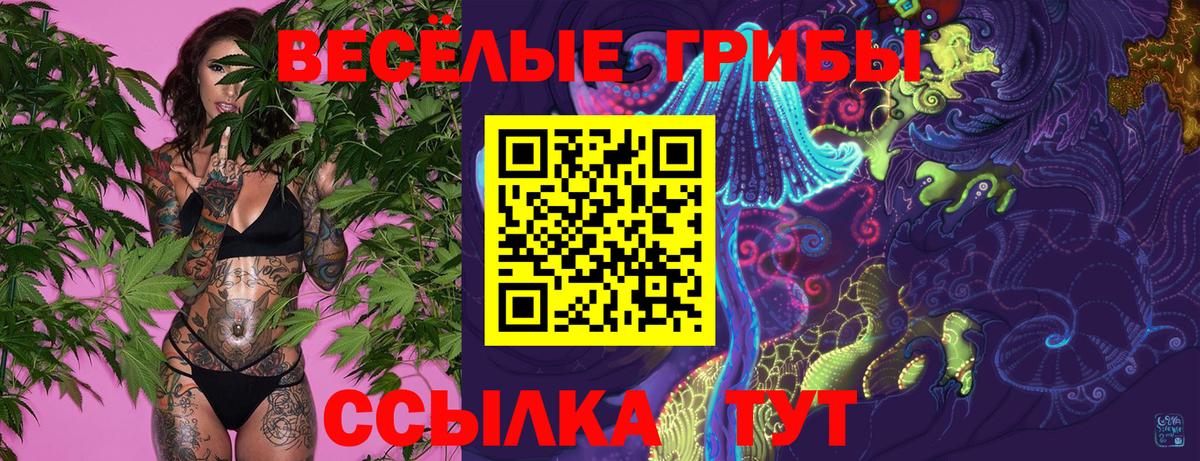 Псилоцибиновые грибы прущие грибы Братск