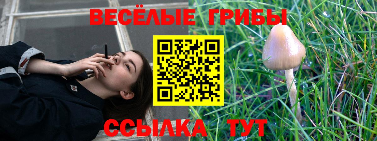 Псилоцибиновые грибы MAGIC MUSHROOMS  Вход с VPN  Псилоцибиновые грибы Psilocybine cubensis  Братск 